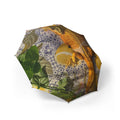 Semi-Automatic Foldable Umbrella