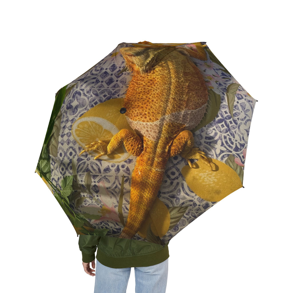 Semi-Automatic Foldable Umbrella